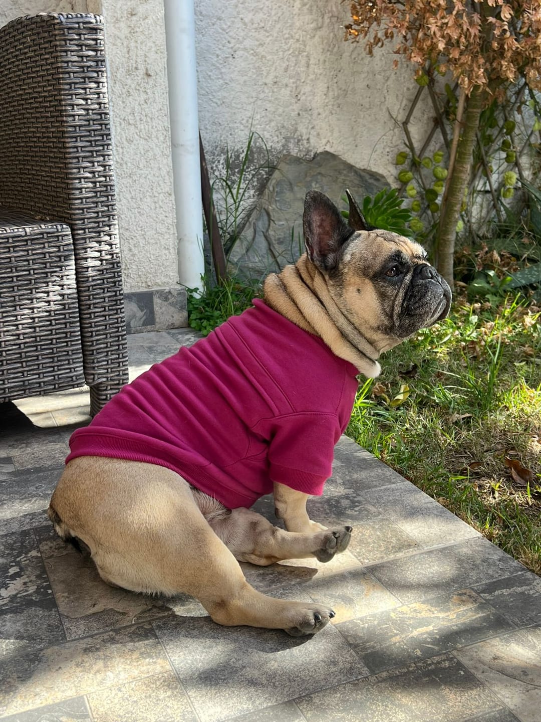 Customer photo review of Poleron Altitud Magenta