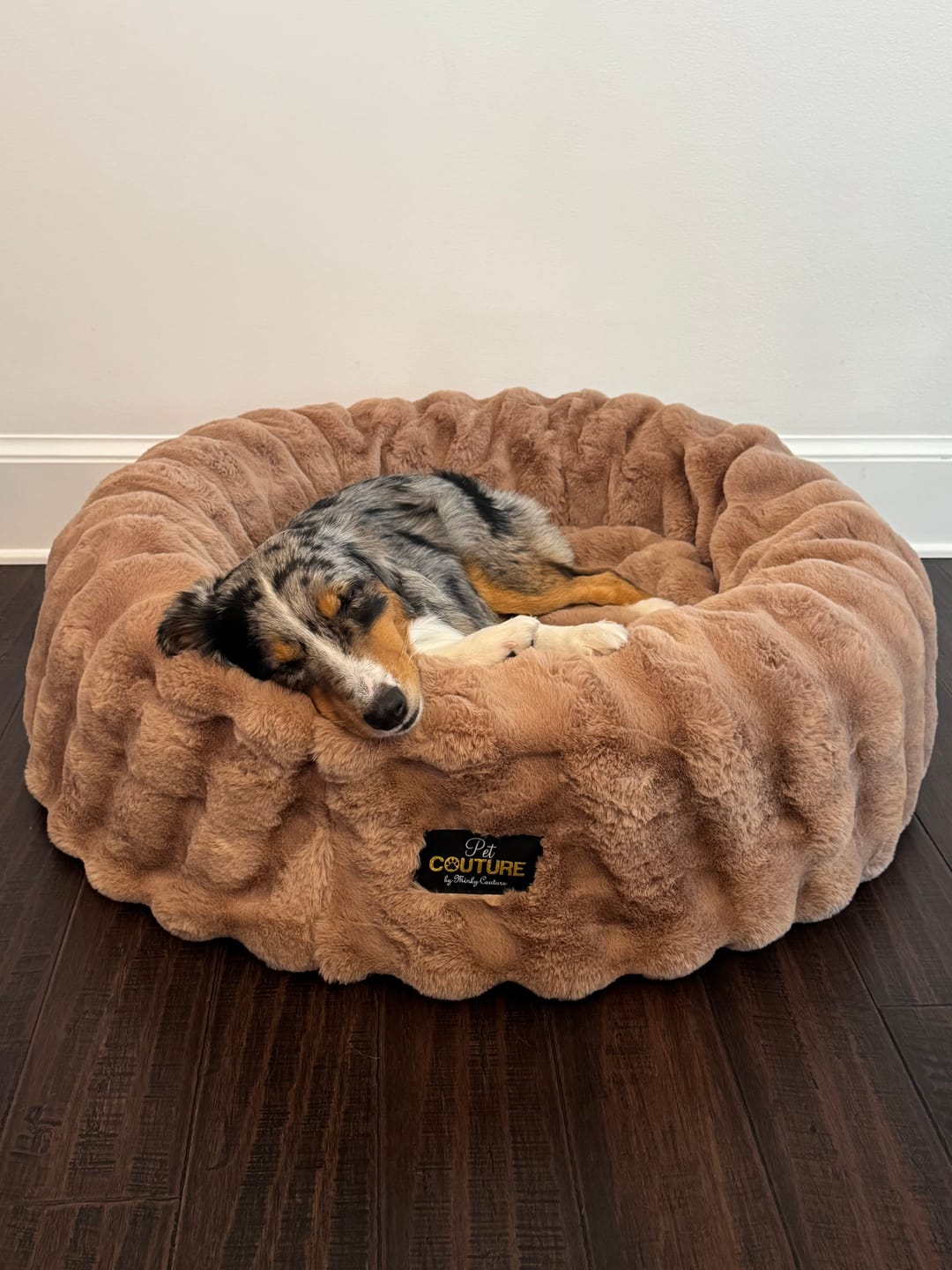 Customer photo review of Milk Chocolate Pet Bed