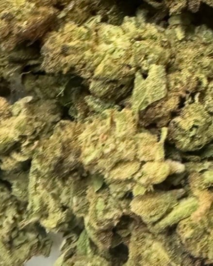 Customer photo review of Gorilla Glue - 28 Grams - Hybrid
