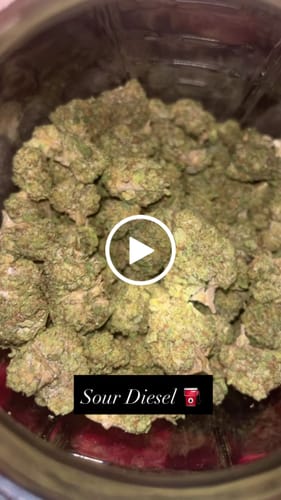 Customer video review of NYC Diesel THCA Flower