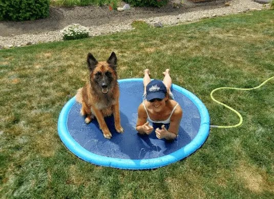 Customer photo review of AquaPlay Cooling Mat – Rafraîchissez votre chien et transformez son été