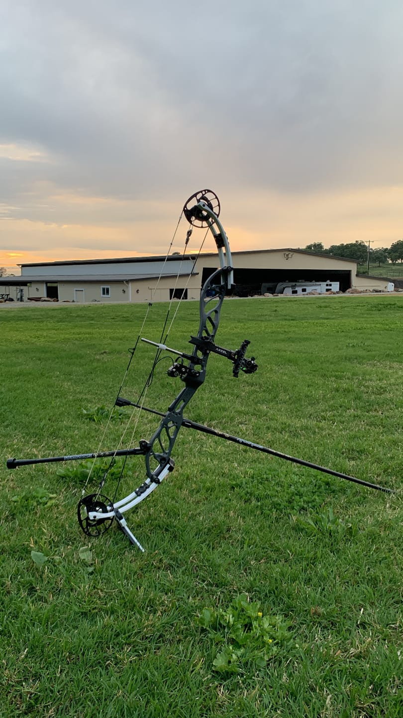 Customer photo review of Vektor
