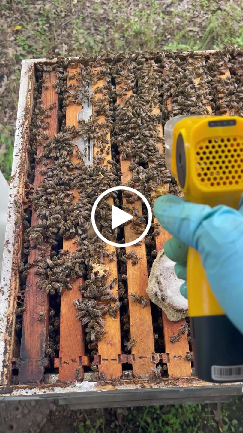 Customer video review of TechBee Smoker