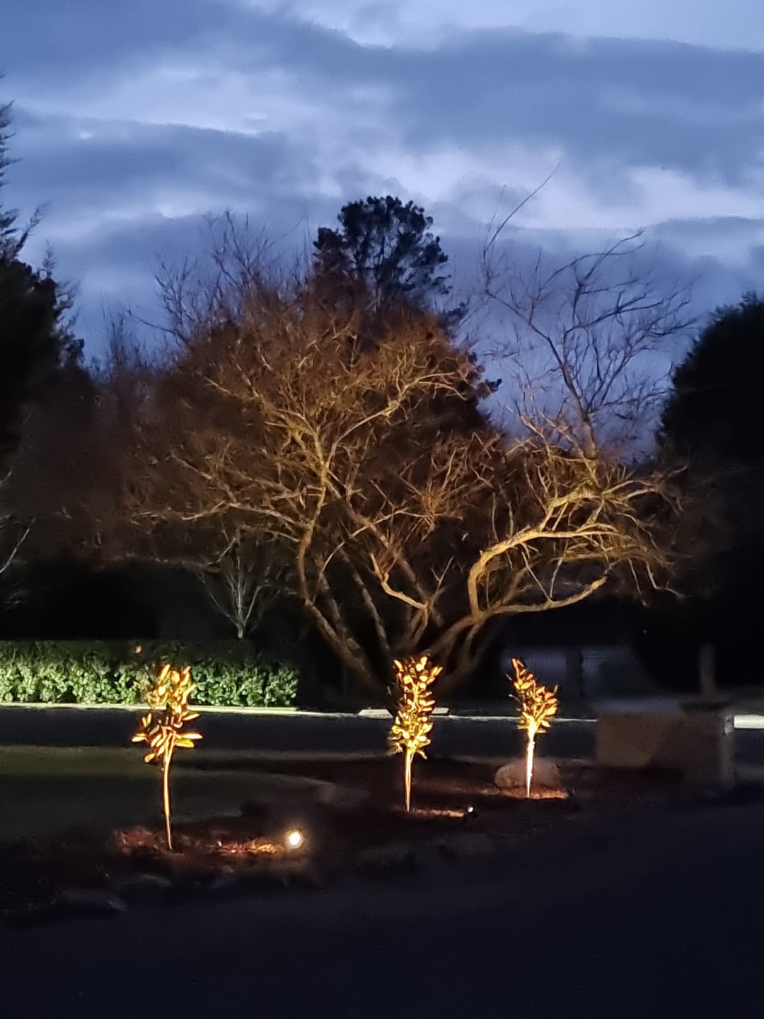 Customer photo review of SolaGarden™ Spot Light Pack