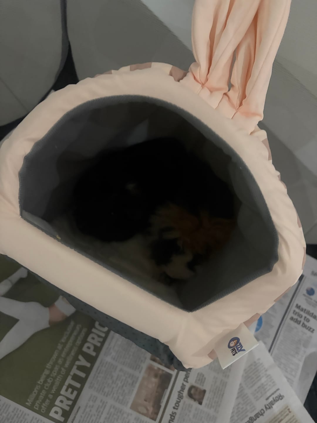 Customer photo review of Nap in Style Bundle - Hidey Value Pack for Guinea Pigs & Dwarf Rabbits