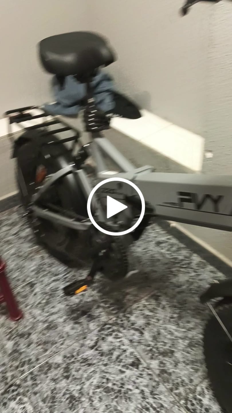 Customer video review of Pre Order-PVY Z20 PLUS