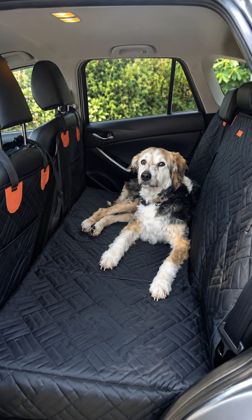 Customer photo review of Marlo&Co™ Dog Seat Cover
