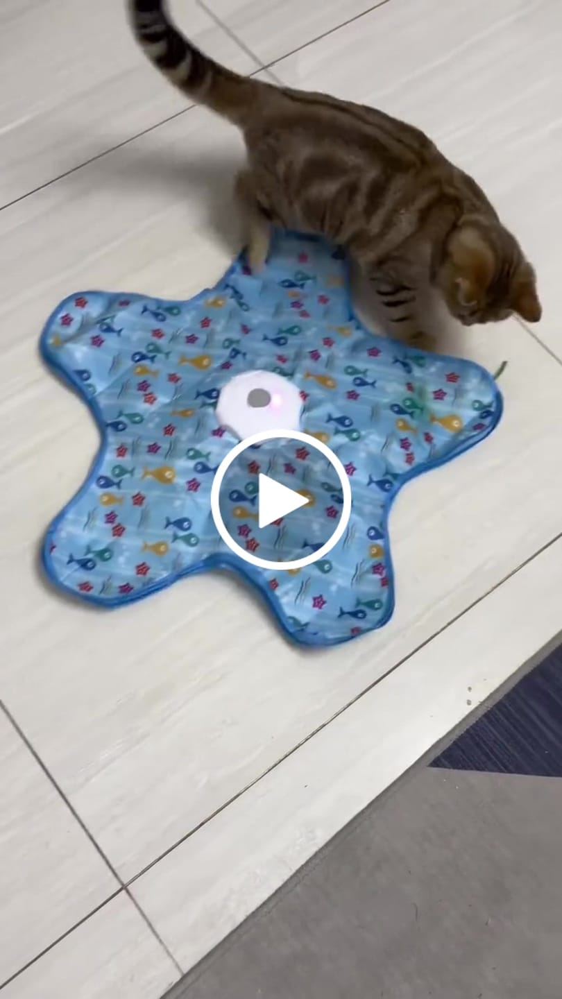 Customer video review of PEEKY TAIL 2.0