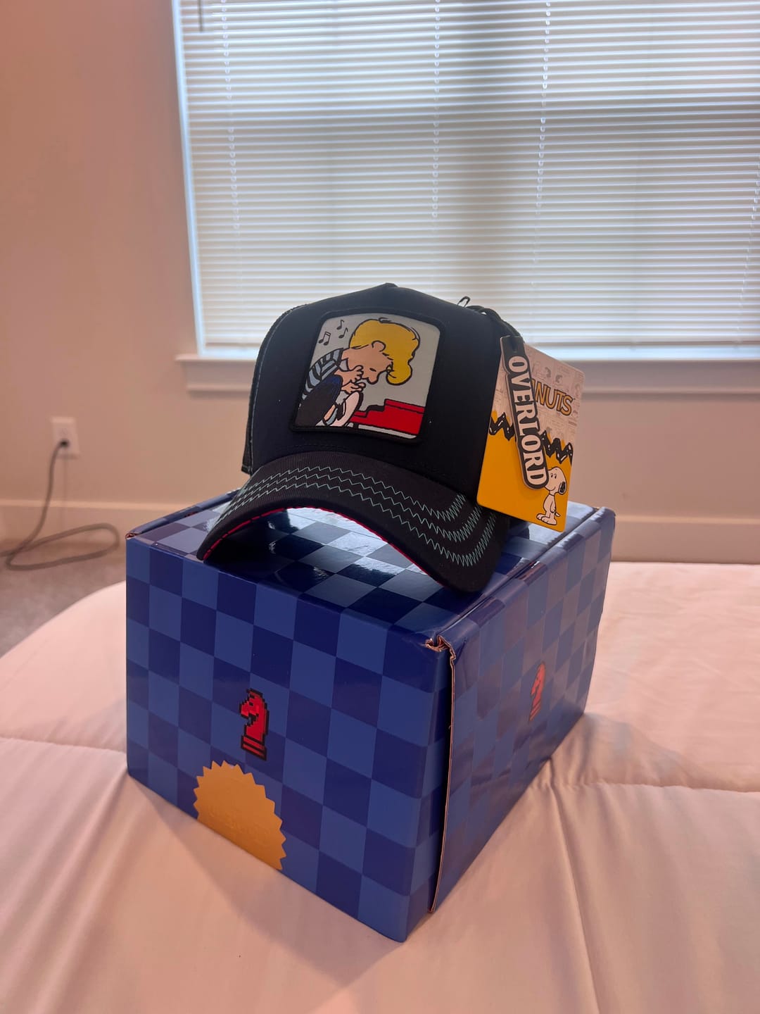 Customer photo review of OVERLORD X Peanuts: Schroeder