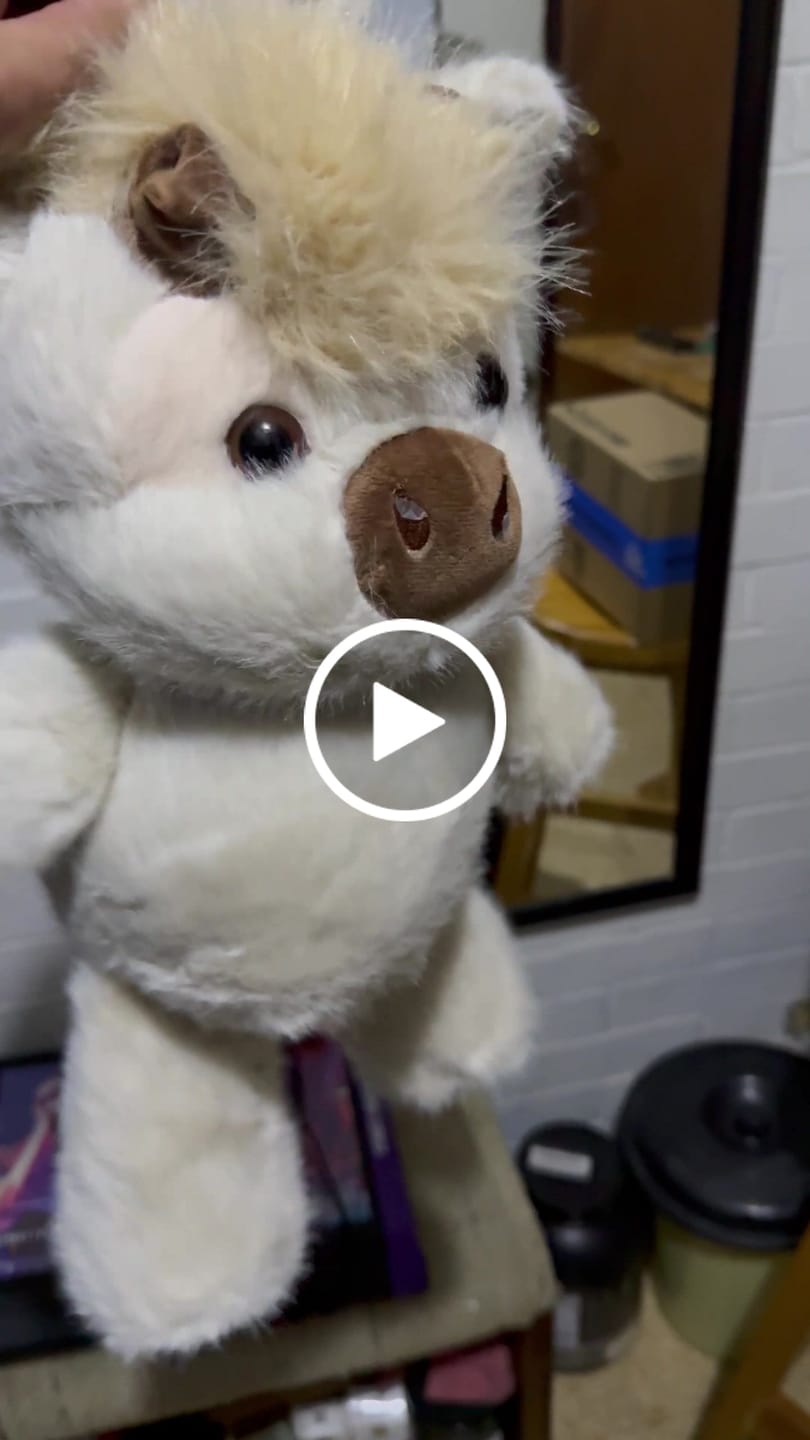 Customer video review of Original Movito™ El peluche que corre