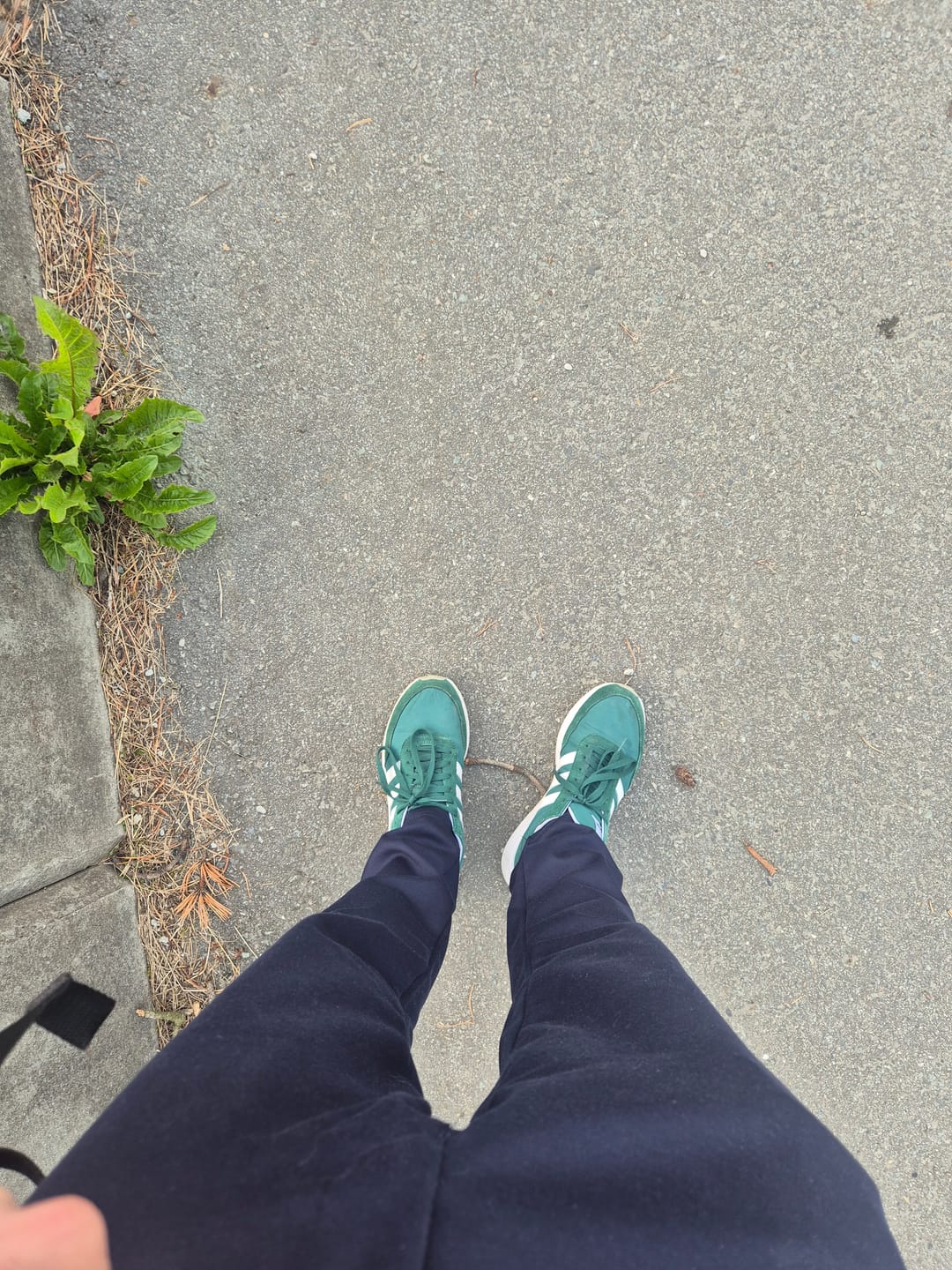 Customer photo review of Performance Trousers - Navy