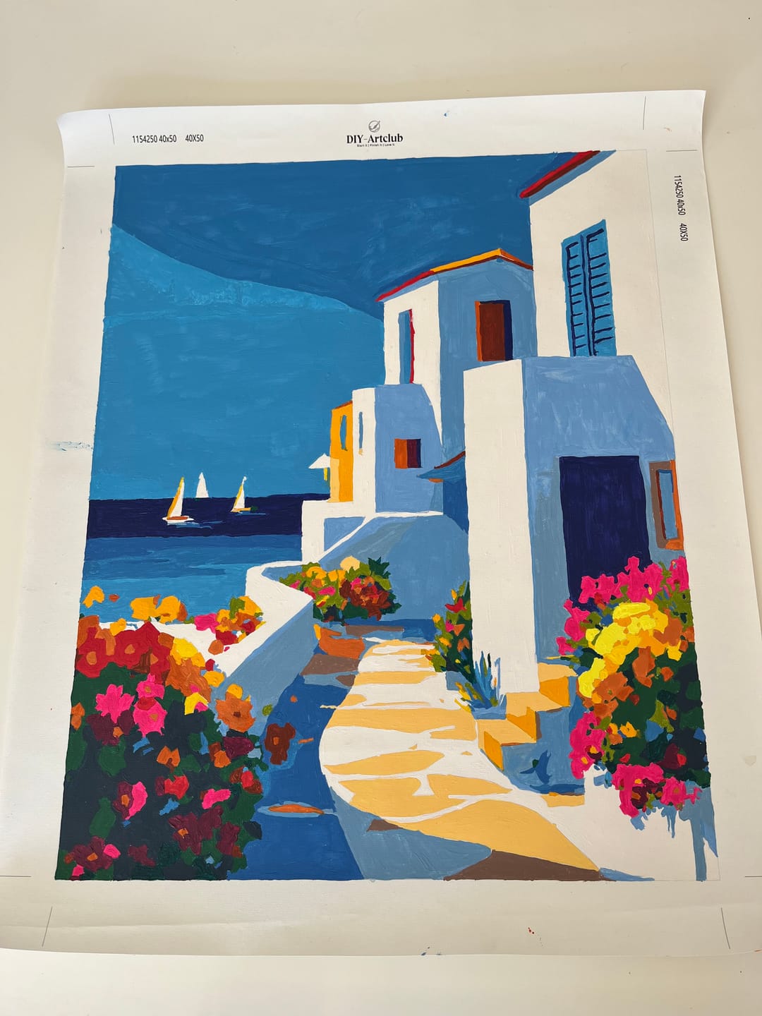 Customer photo review of Azure Path | Paint by Number