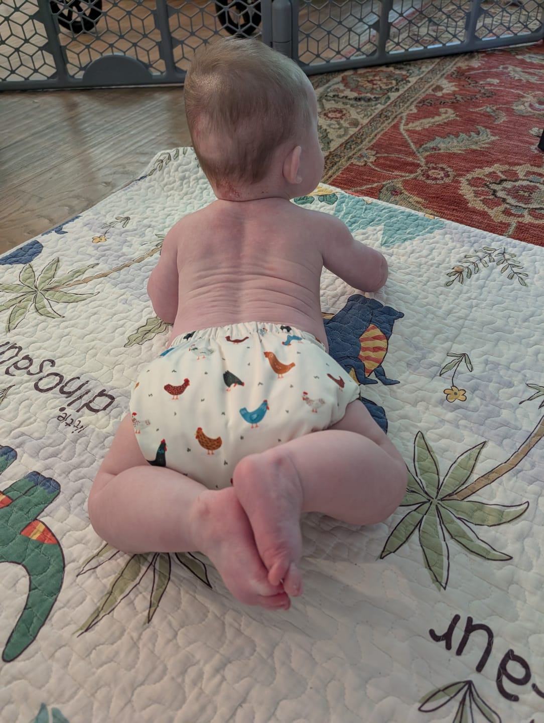 Customer photo review of The Ultimate - One Size Pocket Reusable Cloth Diaper