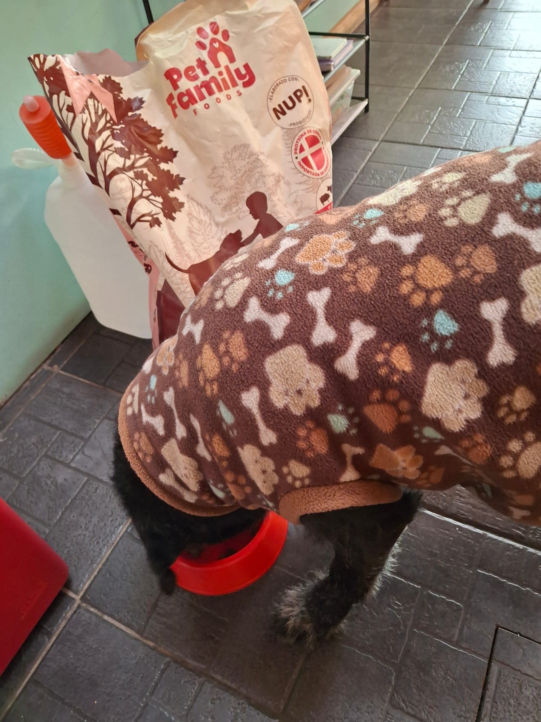 Customer photo review of PetFamily Foods Cerdo Nordico