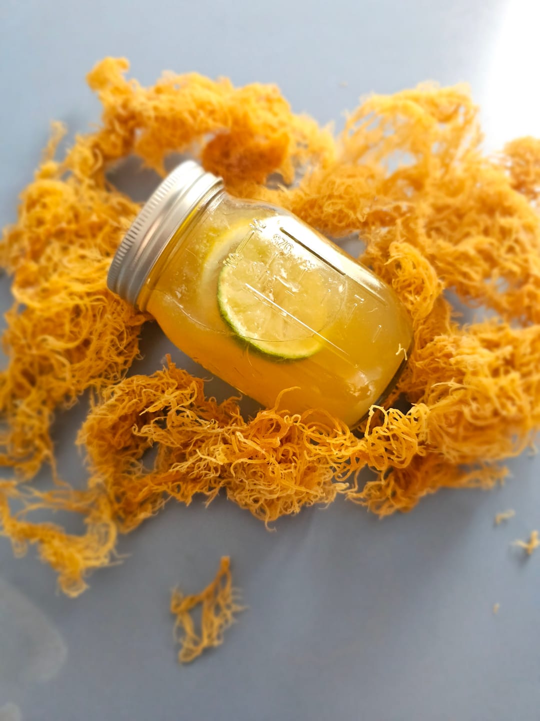 Customer photo review of Sea Moss from the pristine waters of St. Lucia- wildcrafted