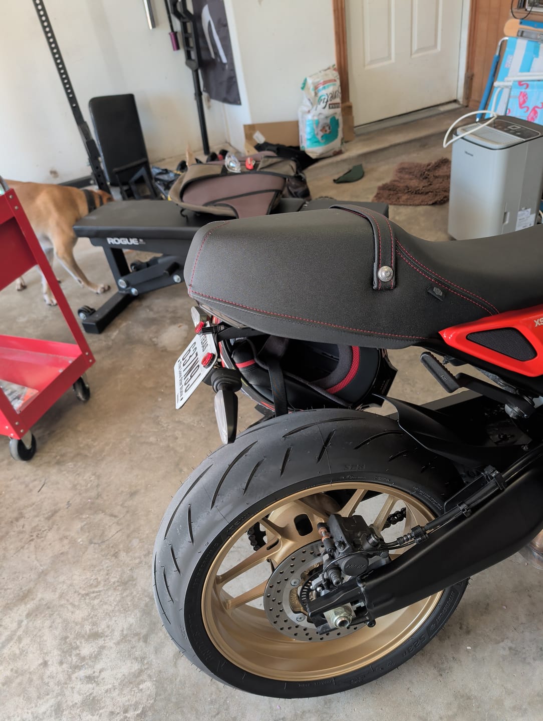 Customer photo review of XSR900 Tail Tidy Kit - 2022-2026