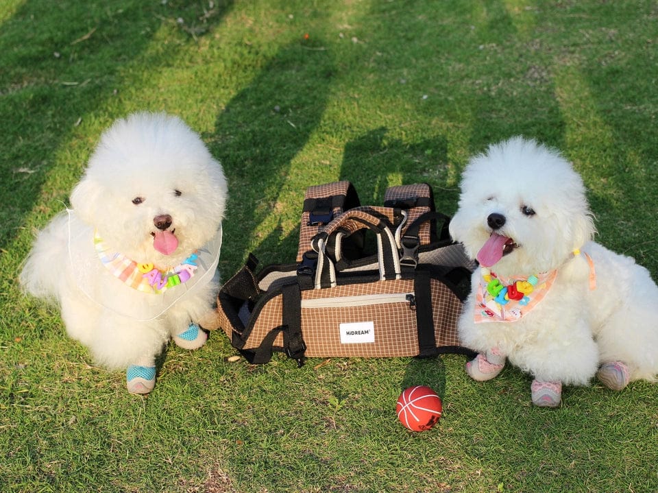 Customer photo review of Breathable Cooling Dog Carrier Backpack – Four-Leg-Out Design with Horizontal Spine Support