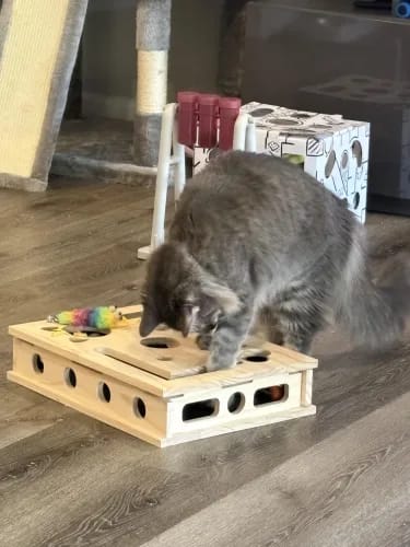 Kundenbewertung mit Foto zu Jagdbox