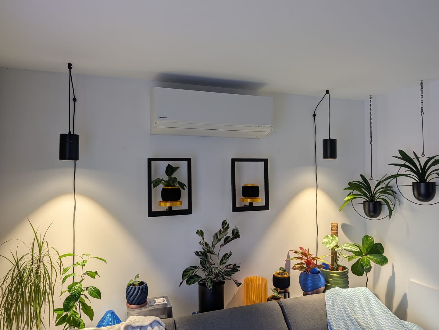 Customer photo review of Claria Grow Light x2 Pack Bundle