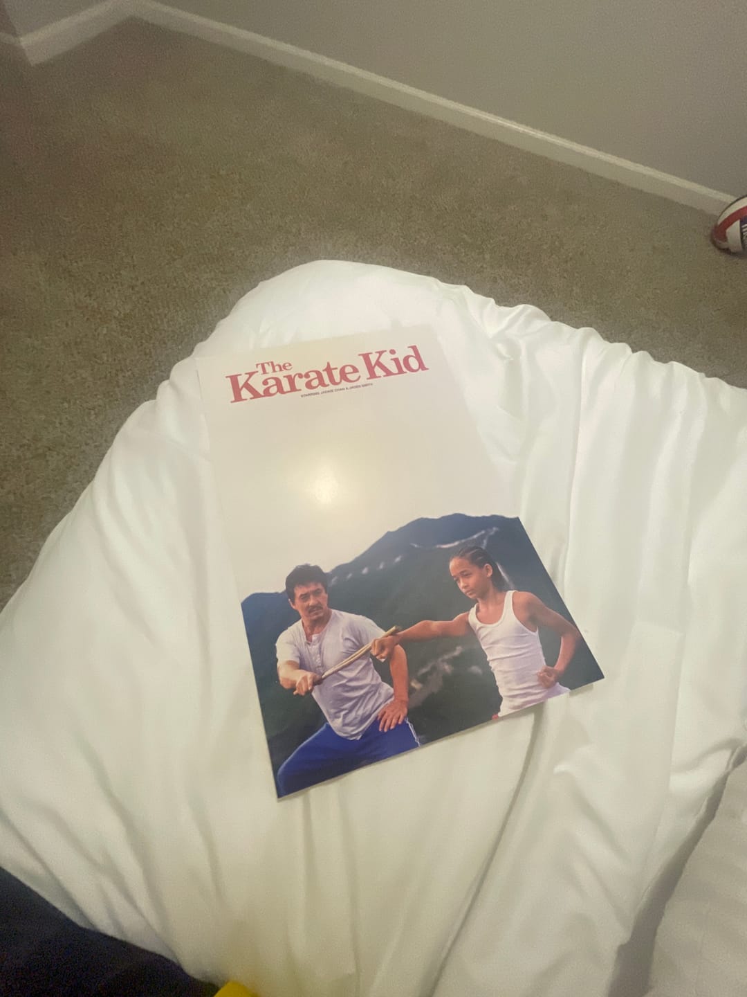 Customer photo review of The Karate Kid 'Jackie & Jaden' Poster