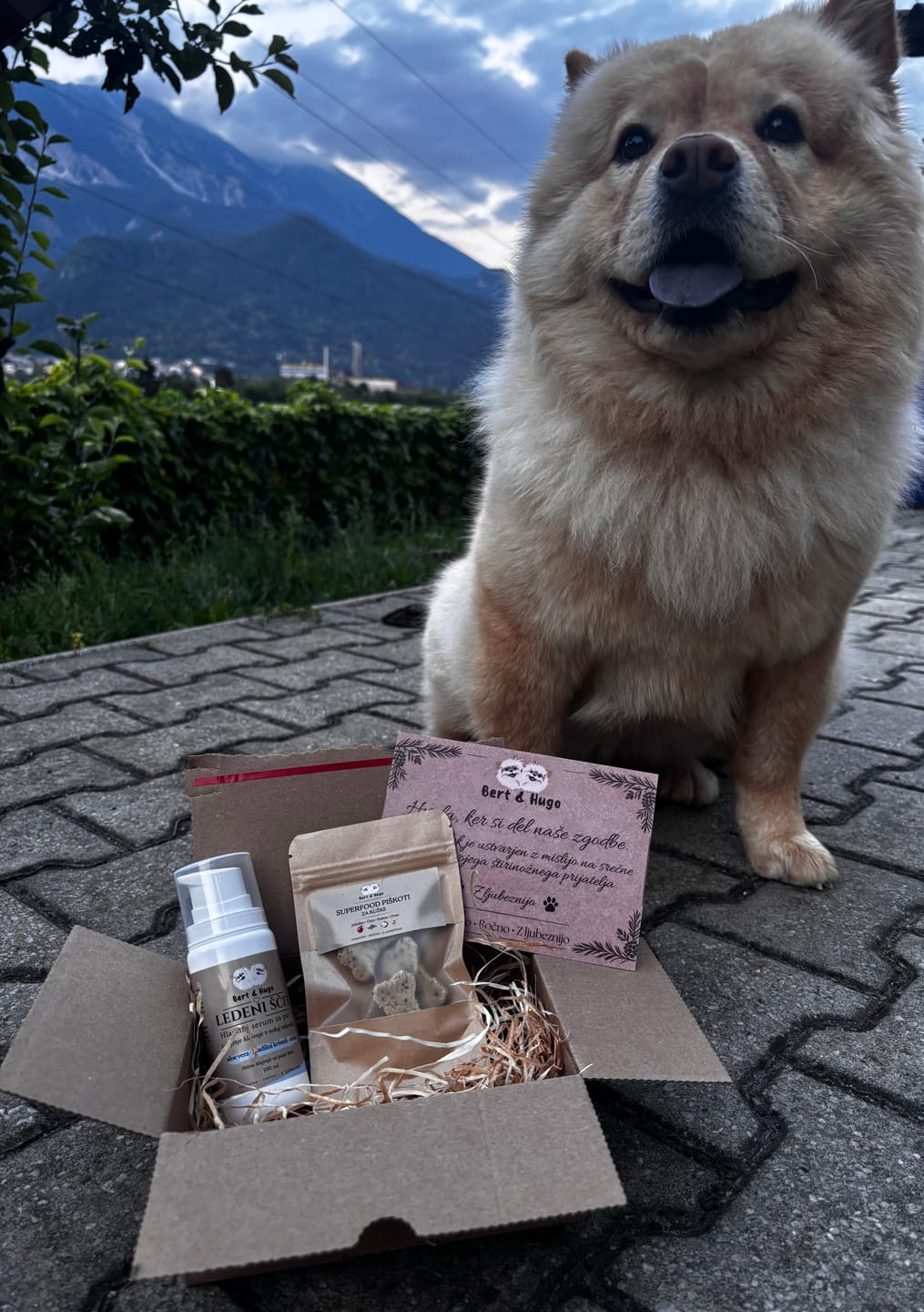 Customer photo review of Bert & Hugo Ledeni ščit – Hladilni serum za pse (100ml)