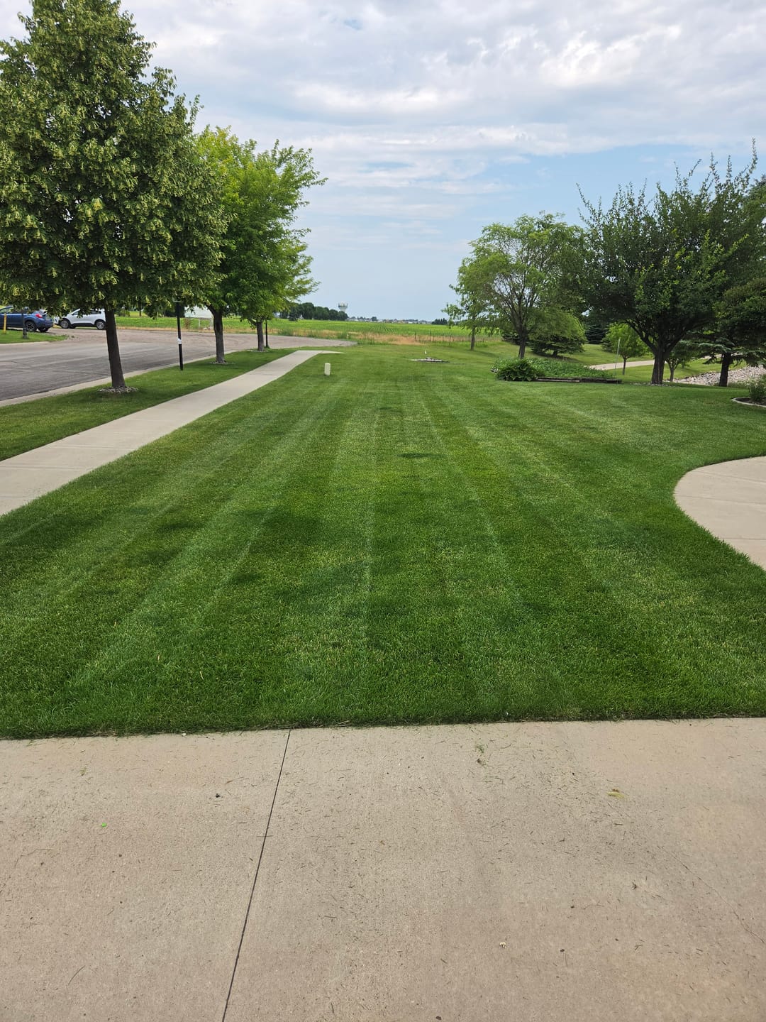 Customer photo review of Broominator — Turn Any Mower Into a Striping Machine