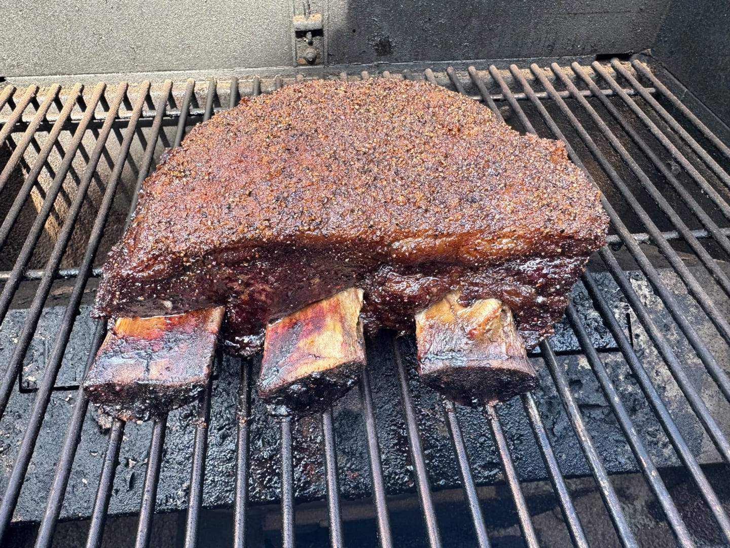 Customer photo review of USDA Choice Beef Plate Ribs (Dino Ribs) + FREE Meat Church Holy Cow BBQ Rub