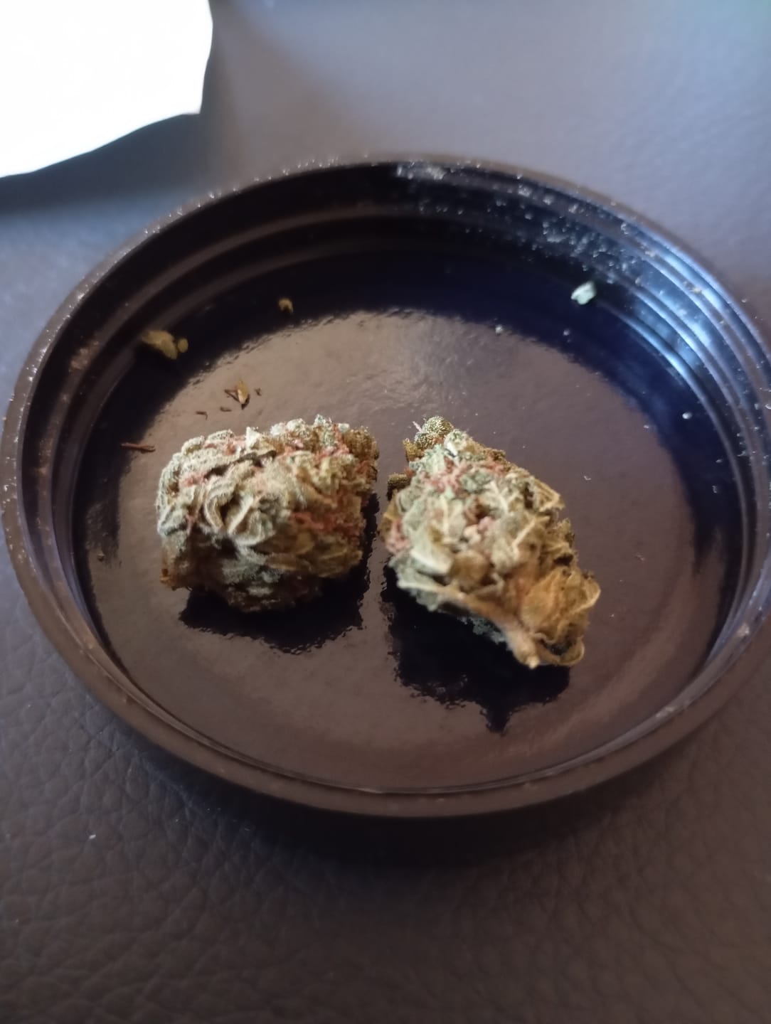 Customer photo review of 🎁 FREE GIFT | Og Sour - CBD Blüte (100% off)