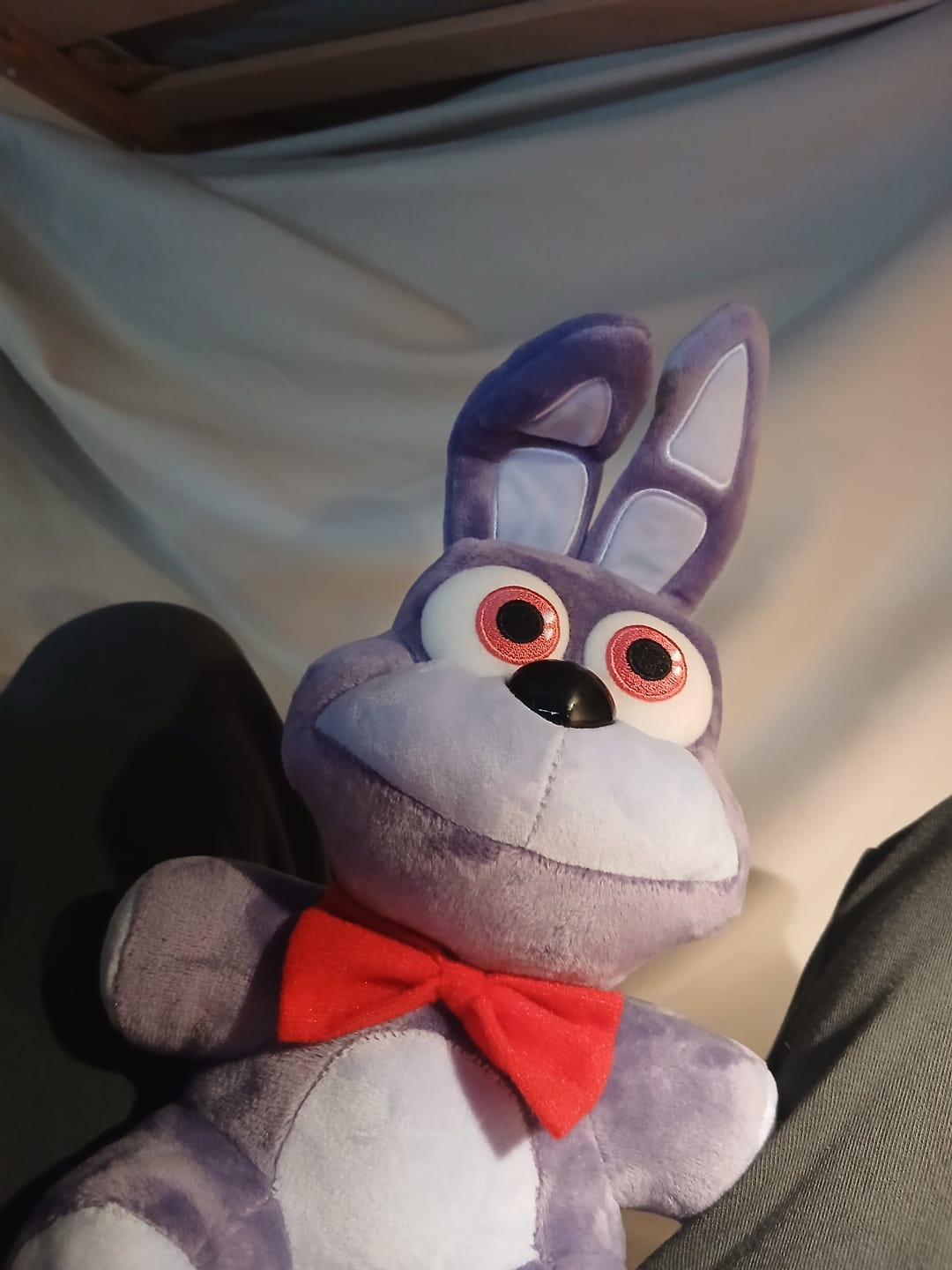 Customer photo review of Five Nights at Freddy's - Bonnie Collector's Plush