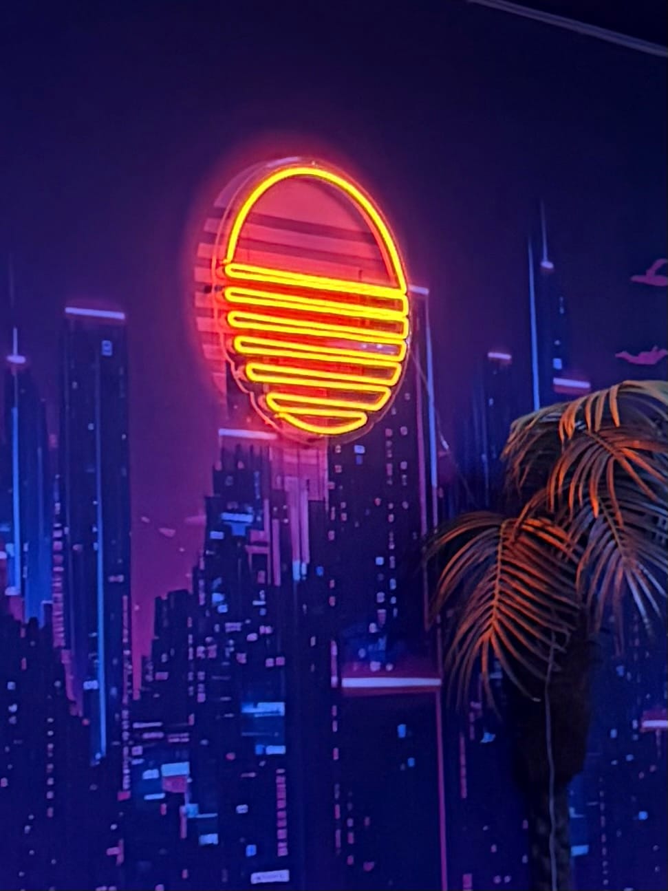 Customer photo review of Vapor Wave Sunset Neon Sign