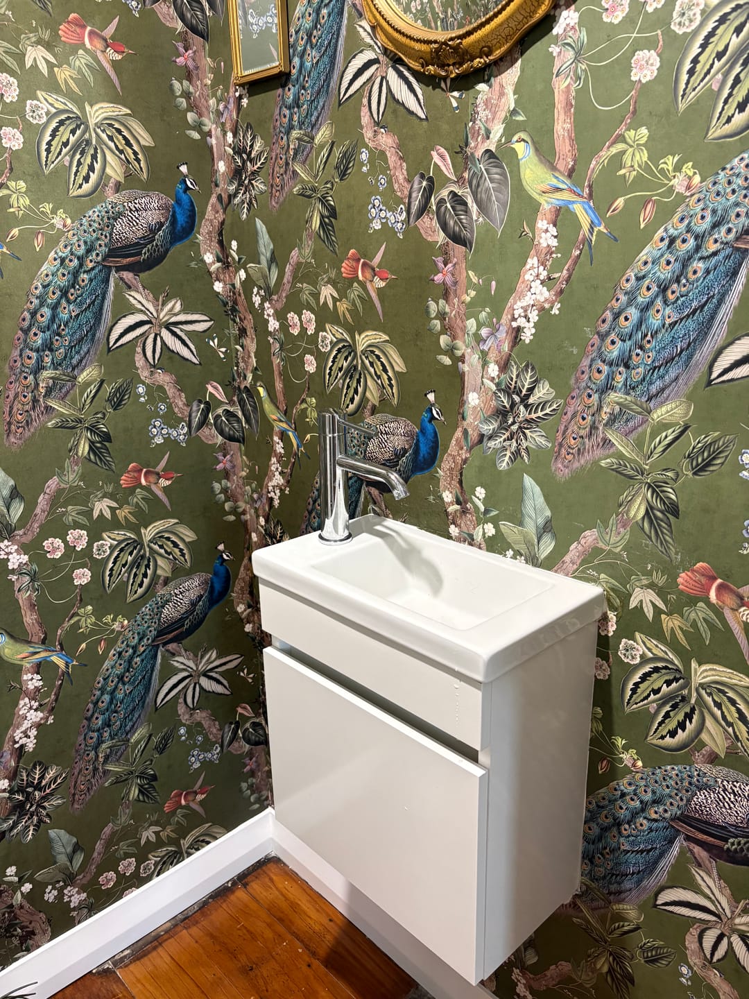 Customer photo review of Cassia - Exotic Peacock Wallpaper - Green