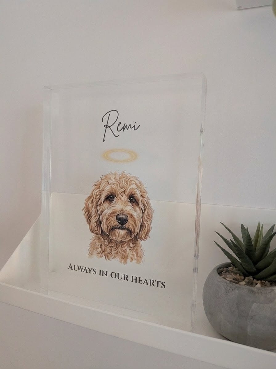 Customer photo review of The Eternal Light – Custom Pet Memorial Photo Acrylic