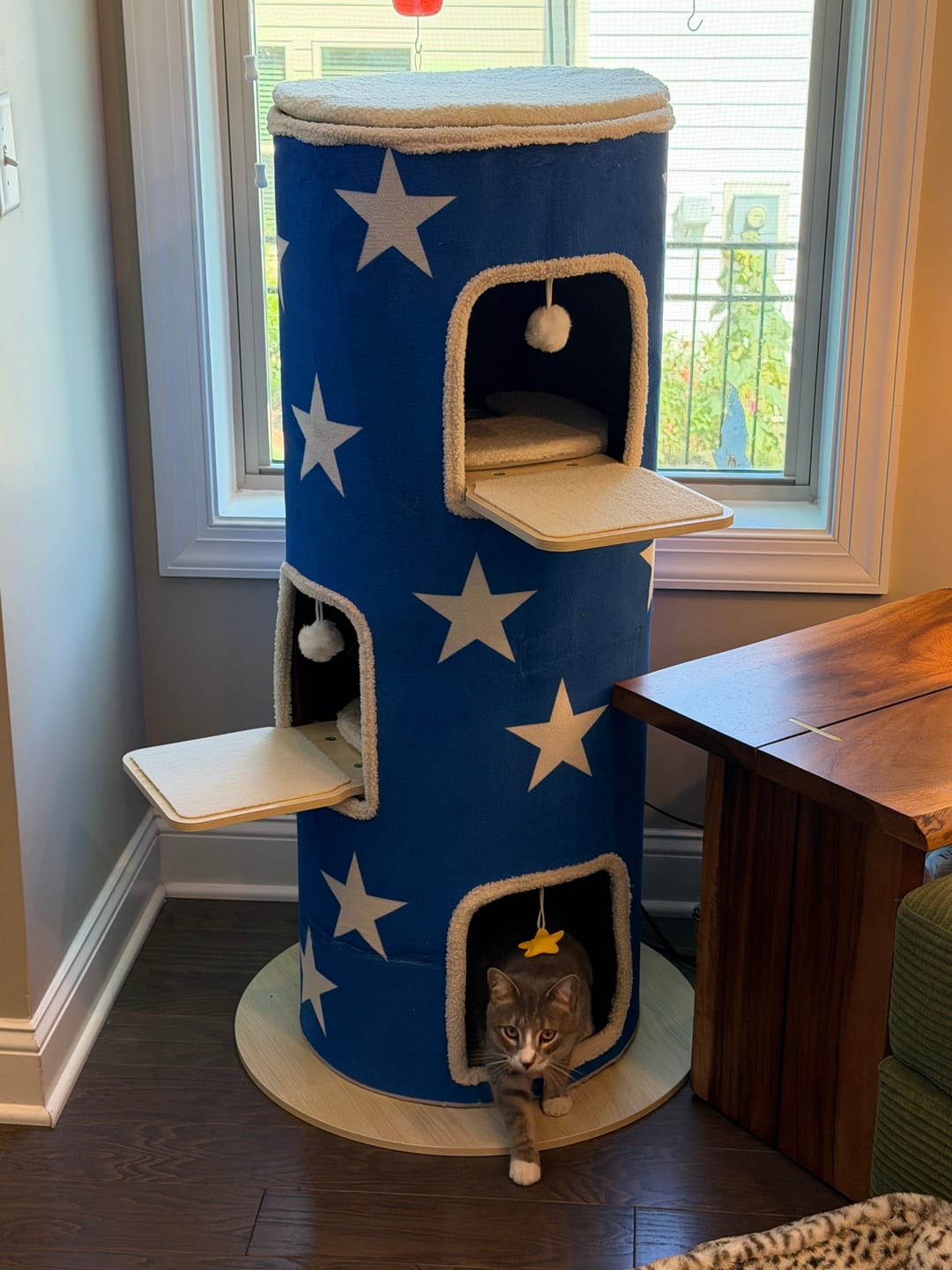 Customer photo review of Cat Christmas Tree - Sep 2026