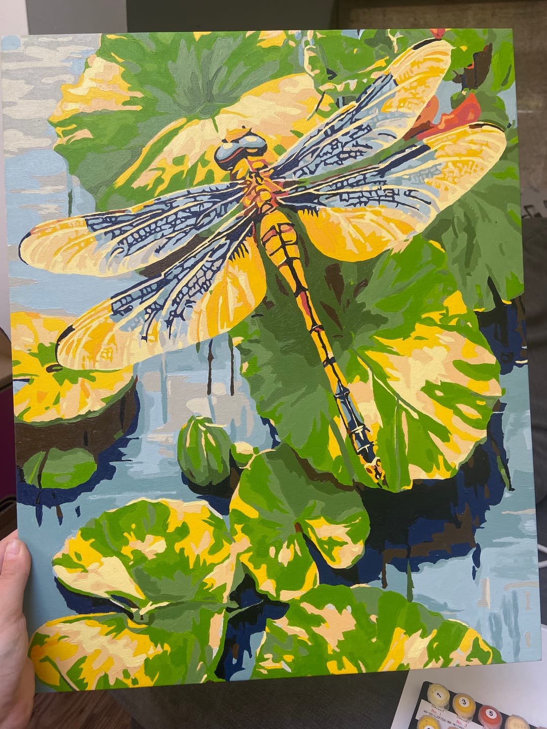 Customer photo review of Dragonfly Lily