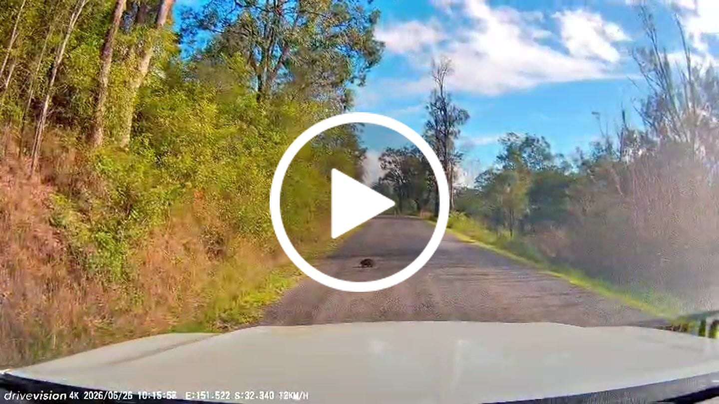 Customer video review of 4K Dashcam