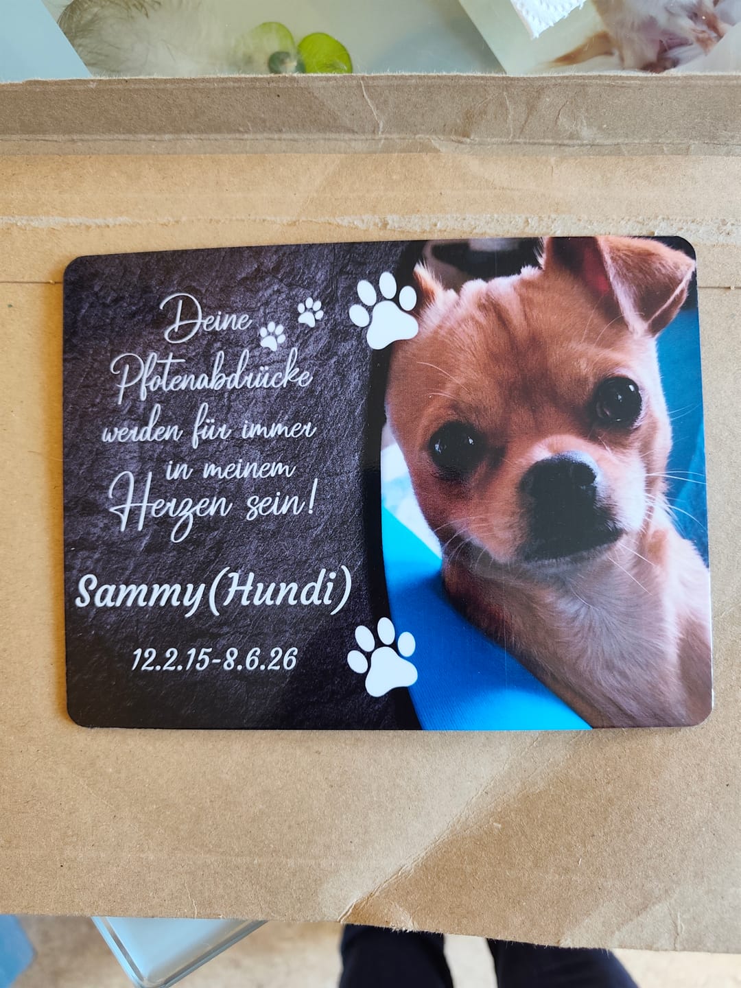 Customer photo review of Hunde Gedenktafel mit Foto & Spruch (UV- & Wetterfest)