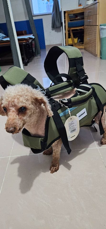 Customer photo review of Small Dog Backpack Carrier – Four-Leg-Out Design with Horizontal Spine Support