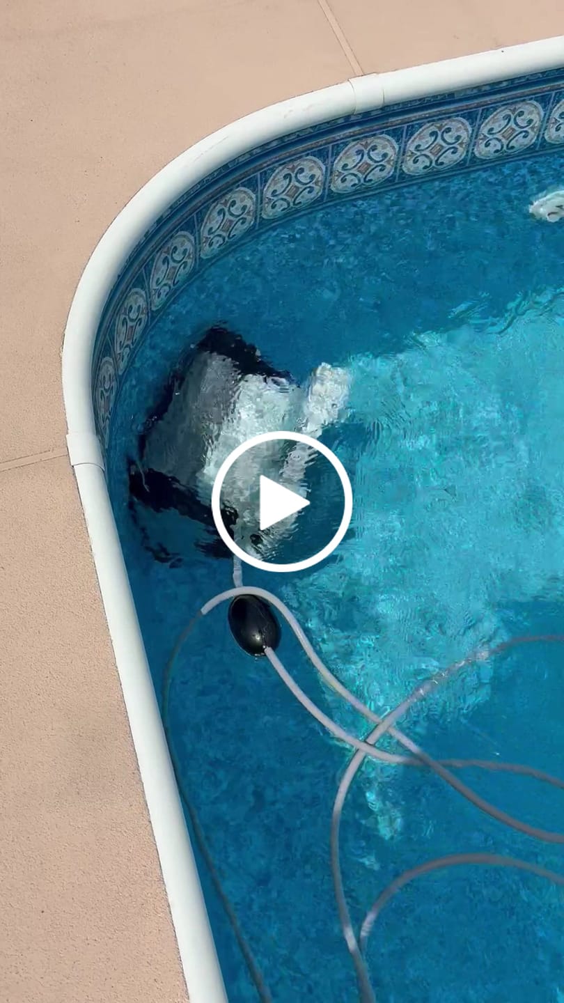 Customer video review of Polaris P825/P8050 Complete Motor Block
