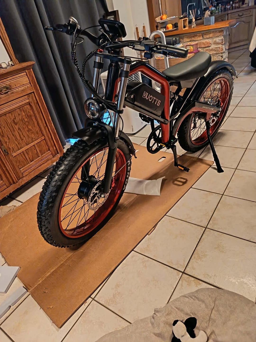 Customer photo review of DUOTTS N26 Electric Bike