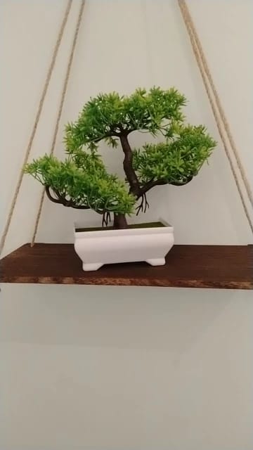 Customer photo review of Artificial Bonsai Tree — Small Fake Potted Plant for Home & Desk