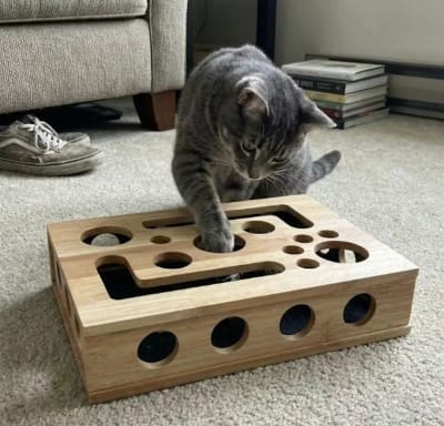 Kundenbewertung mit Foto zu Jagdbox