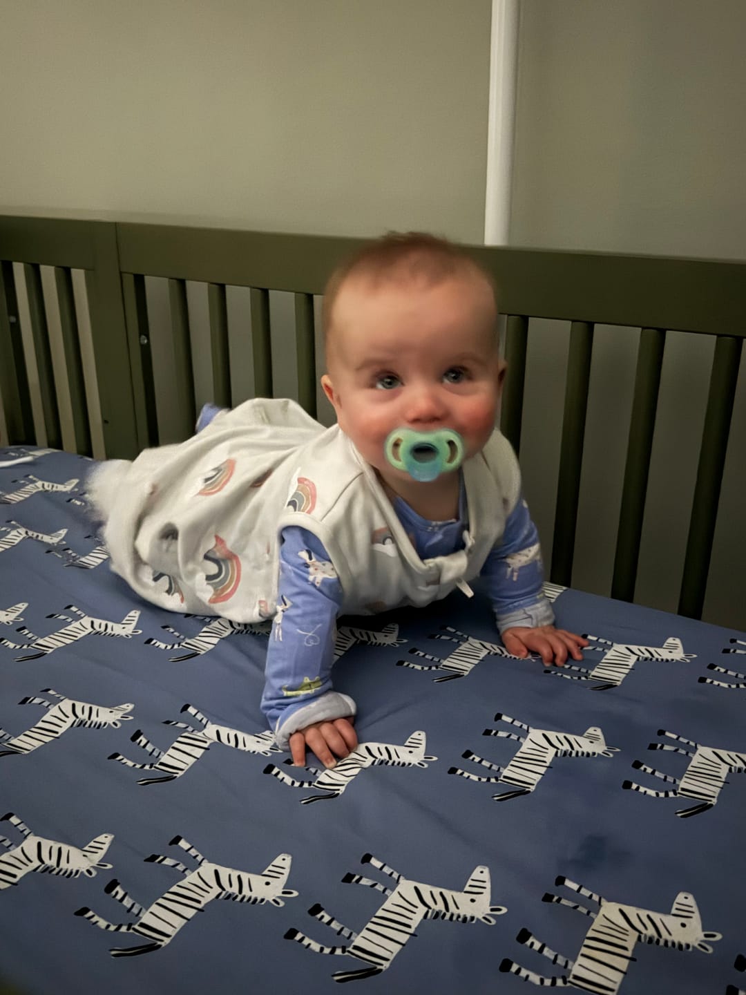 Customer photo review of 4 Season® Baby Sleep Bag with Feet, Merino Wool & Organic Cotton, Rainbow