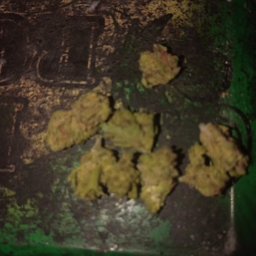 Black Ice - Bulk - Indica photo review