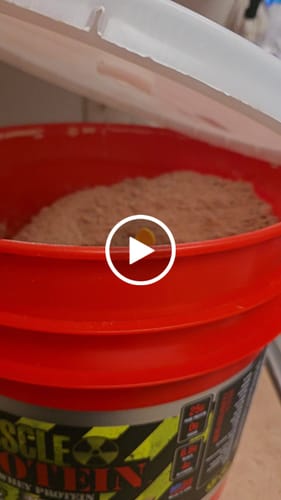 Customer video review of Whey Protein Powder Bucket