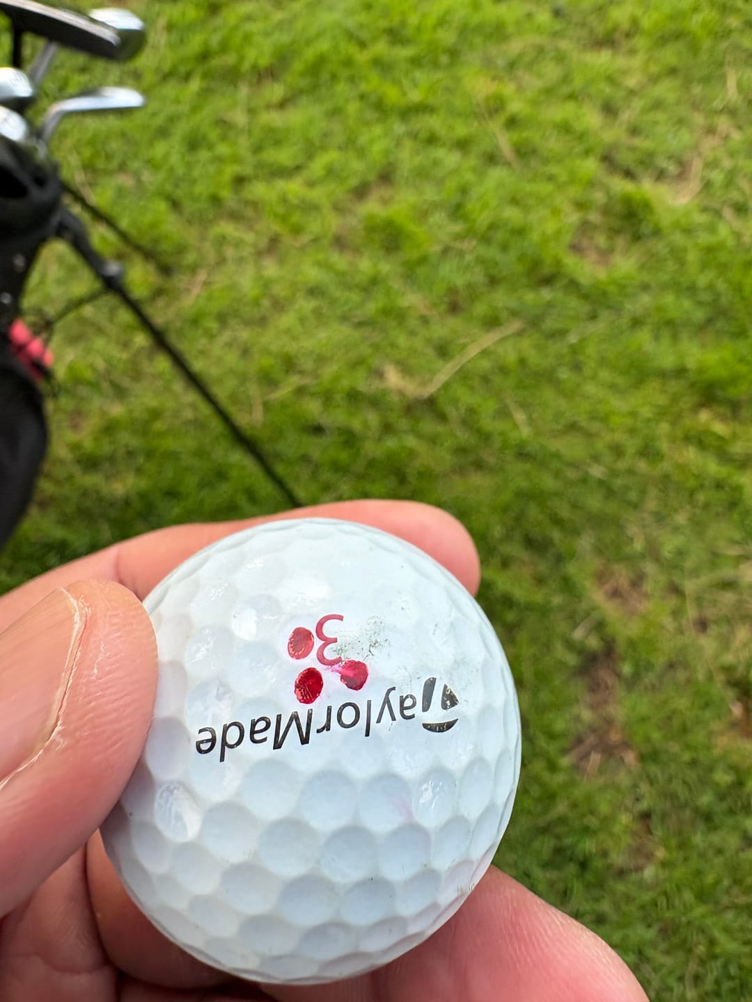 Customer photo review of Golf Pens