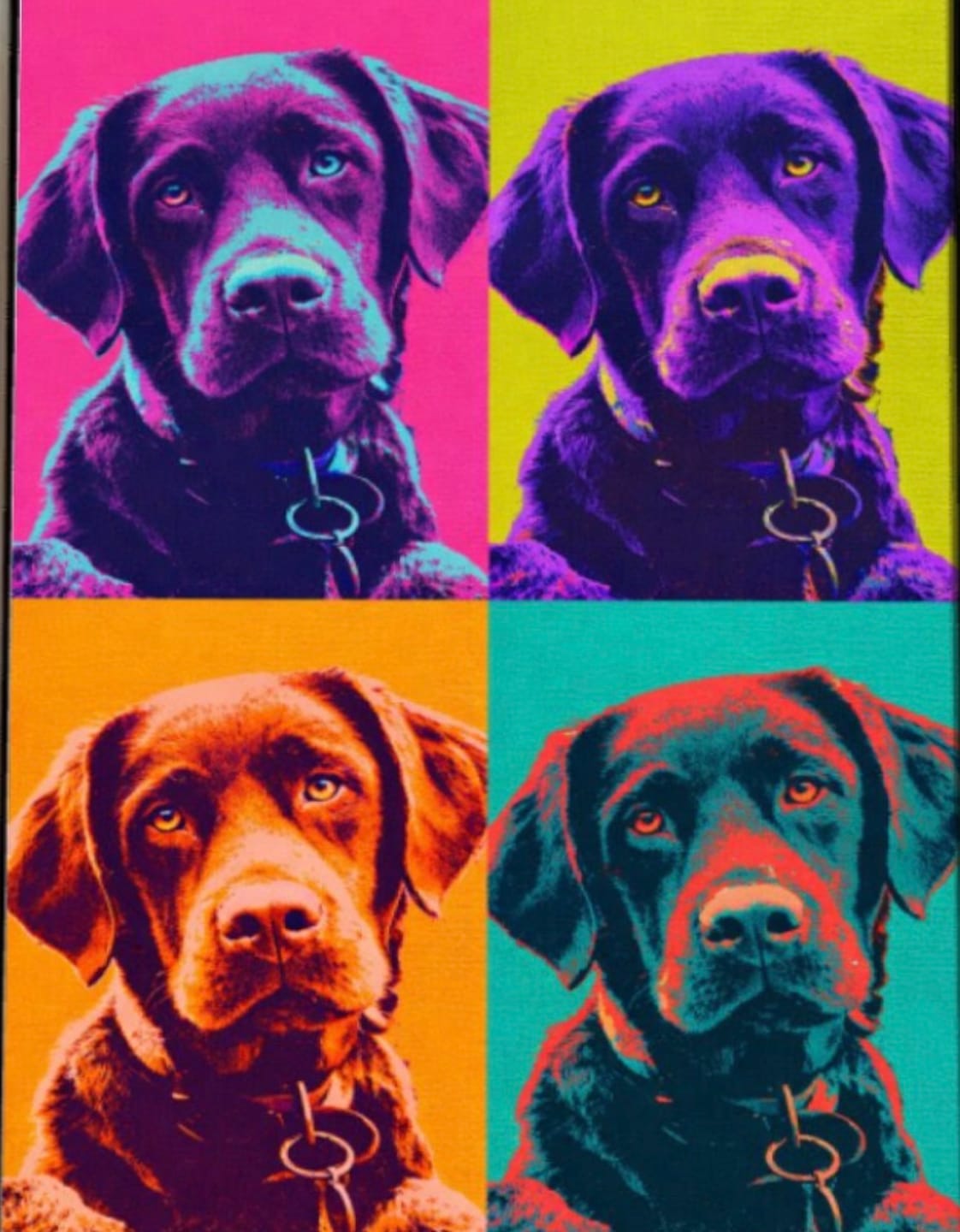 Customer photo review of Personalised Poster With Dog or Cat - Colour Squares