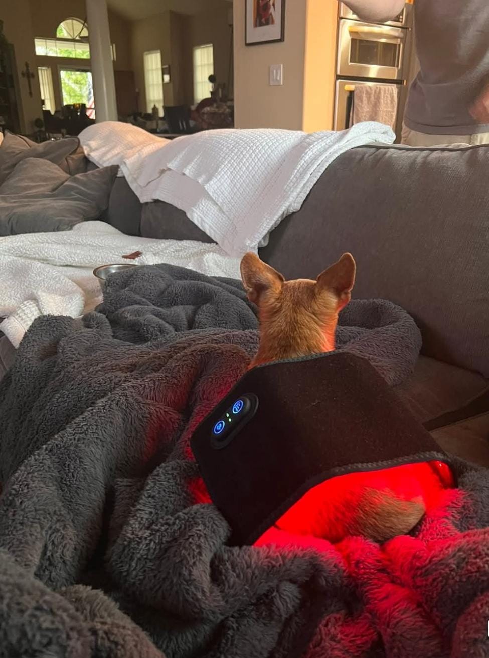 Customer photo review of RedPaw Red Light Therapy