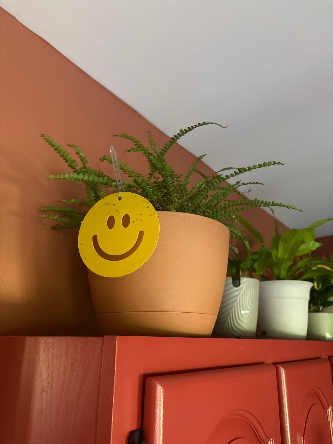 Customer photo review of Killer Smiles
