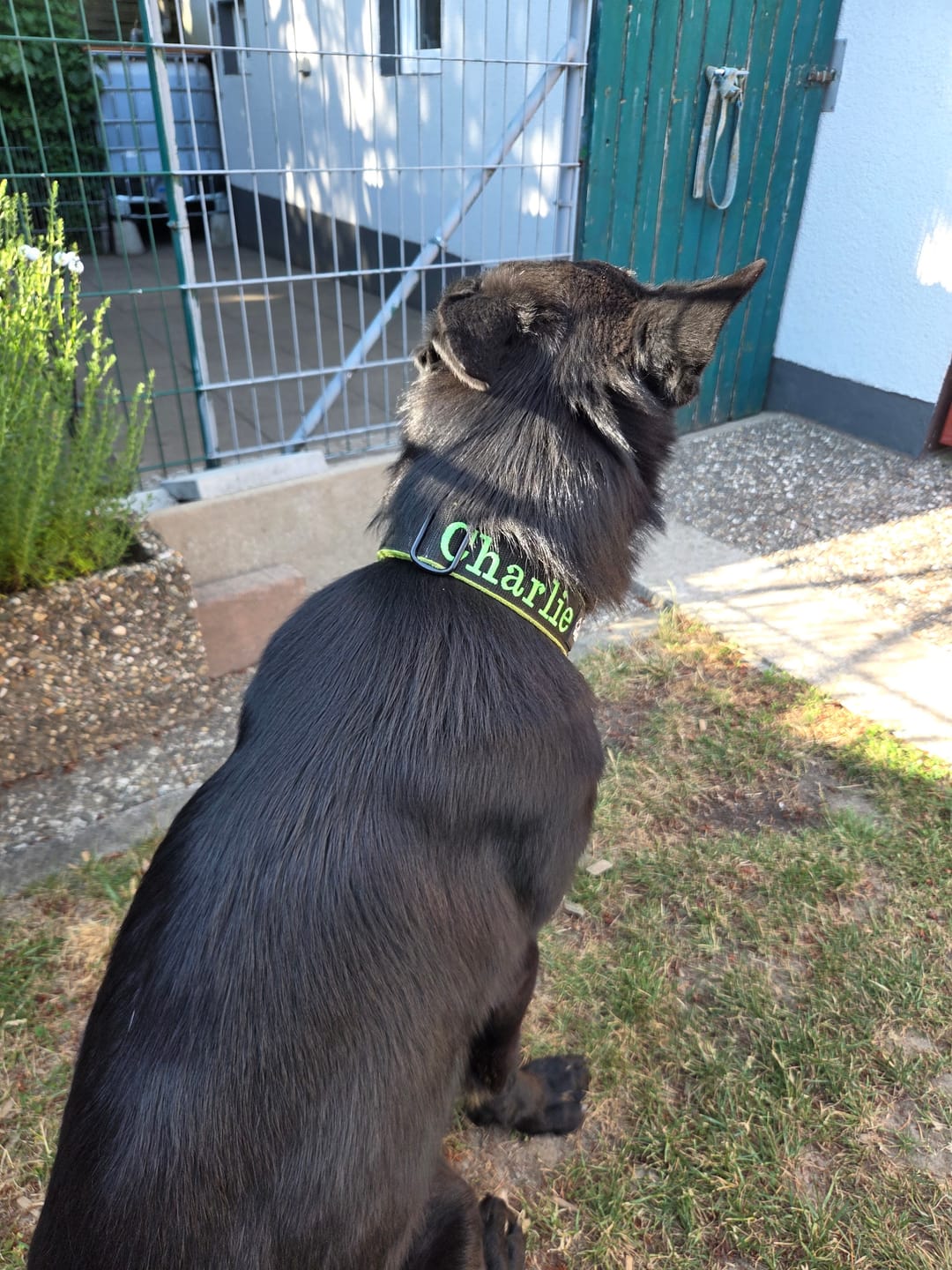 Customer photo review of Extreme Buckle med namn