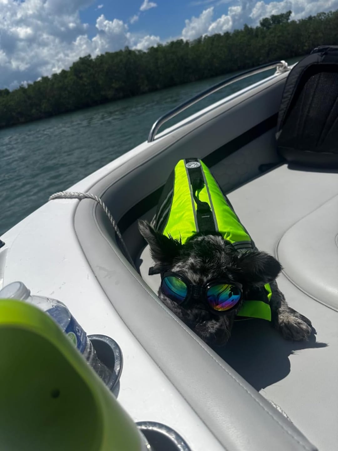 Customer photo review of FloatPaw™ Life Jacket